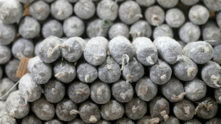 Berliner Tafel sammelt auf Gr&uuml;ner Woche fast neun Tonnen Lebensmittel 