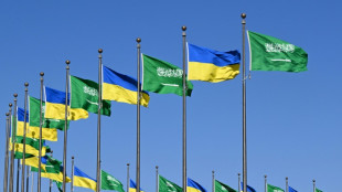 Ucr&acirc;nia lan&ccedil;a centenas de drones contra a R&uacute;ssia antes de reuni&atilde;o com representantes dos Estados Unidos