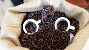 Cresce il fatturato di Lavazza, 3,35 miliardi nel 2024