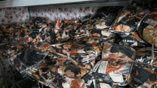 Zwei Euro pro P&auml;ckchen: Br&uuml;ssel plant Geb&uuml;hr auf Sendungen aus Nicht-EU-L&auml;ndern