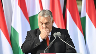 EU-Kommission empfiehlt voraussichtlich Streichen von F&ouml;rdergeldern f&uuml;r Ungarn
