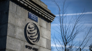 Dezenas de pa&iacute;ses concluem negocia&ccedil;&otilde;es para acordo 'pioneiro' sobre com&eacute;rcio eletr&ocirc;nico