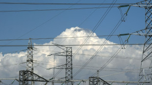 Espa&ntilde;a investiga posibles pr&aacute;cticas anticompetitivas en el sector de la energ&iacute;a