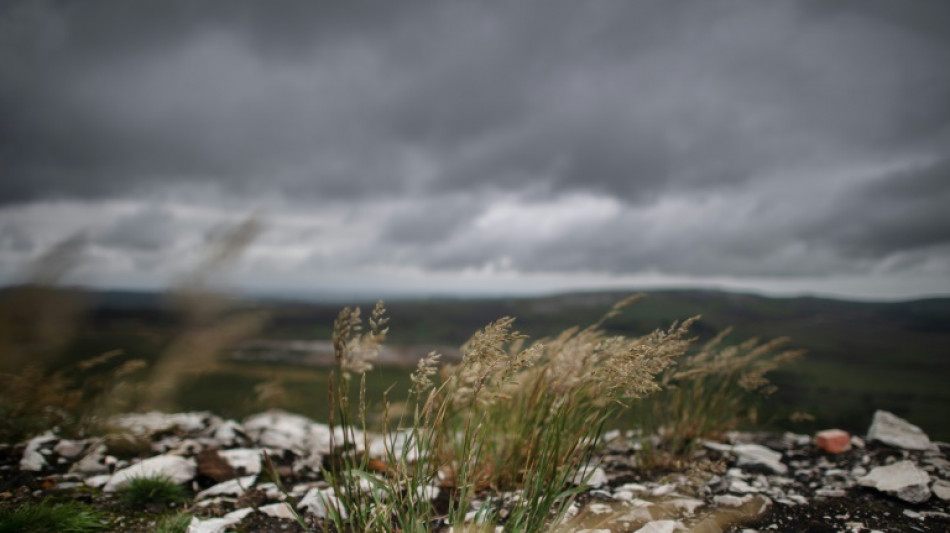 Un an apr&egrave;s, les Monts d'Arr&eacute;e restent meurtris par les incendies