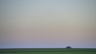 Bundesgerichtshof: Patient darf Hausarzt Grundst&uuml;ck versprechen