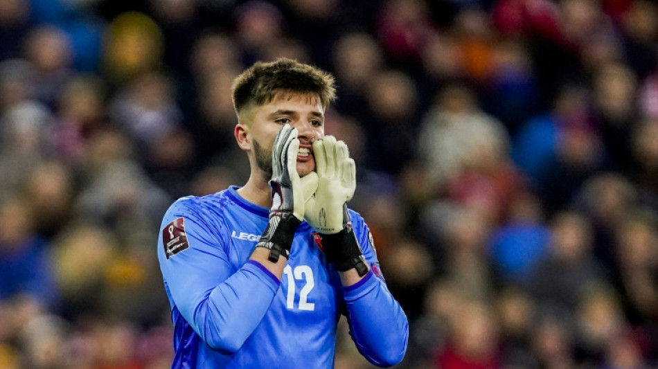 Foot: Matija Sarkic, gardien de Milwall (Angleterre) et du Mont&eacute;n&eacute;gro d&eacute;c&egrave;de &agrave; 26 ans