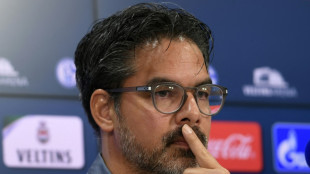 Wagner &uuml;bernimmt Zweitligisten Norwich City