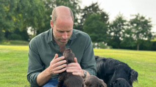 William compie 43 anni, foto sui social con i cuccioli di cocker