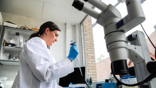 Tumori, creato un test che prevede se cancro resister&agrave; a chemio