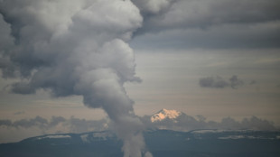 Verteter von 30 L&auml;ndern zu Atomenergie-Gipfel in Paris erwartet