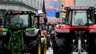 Un an apr&egrave;s les manifestations, l'UE d&eacute;voile sa "vision" pour le monde agricole