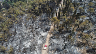 L'incendio sulle colline di Gerusalemme domato dopo 24 ore