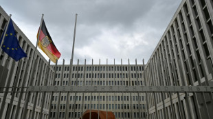 Bundestag setzt Kontrollgremium ein: Reichinnek und AfD-Kandidaten nicht gew&auml;hlt