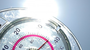 Changement climatique: un dizaine d'indicateurs dans le rouge, alertent des scientifiques de référence