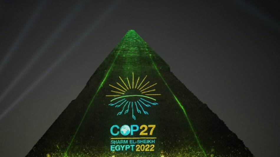 Bundesregierung sichert vor UN-Klimakonferenz entschiedenen Einsatz f&uuml;r Fortschritte zu