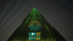 Bundesregierung sichert vor UN-Klimakonferenz entschiedenen Einsatz f&uuml;r Fortschritte zu