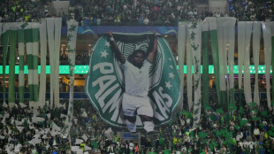 Conmebol investiga Palmeiras por gesto racista de torcedor na Libertadores