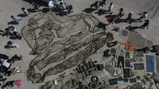 Gr&egrave;ce: des b&eacute;n&eacute;voles nettoient les fonds marins au large de Santorin