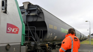 Gr&egrave;ve SNCF: le mouvement pour Fret SNCF mod&eacute;r&eacute;ment suivi dans l'ensemble du groupe
