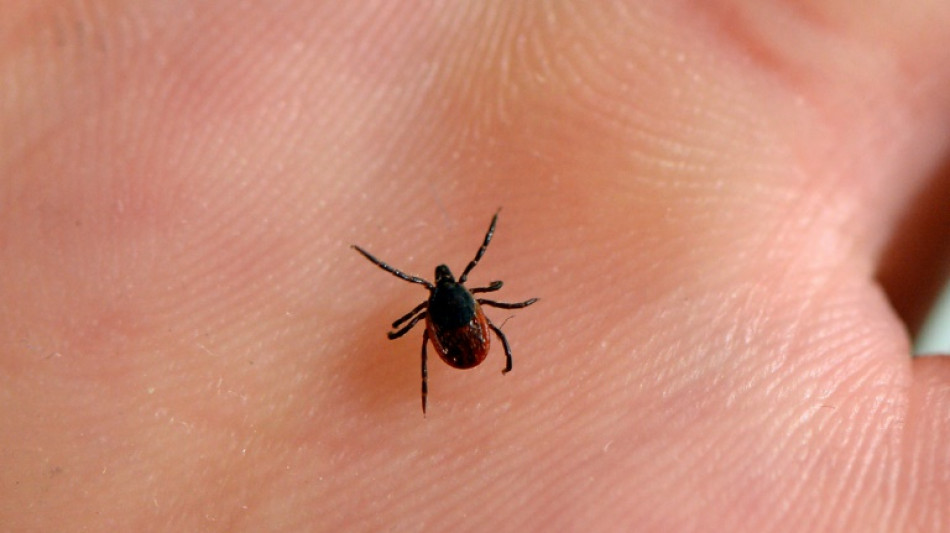 Maladie de Lyme: la controverse ressurgit avec un avis controvers&eacute; de la HAS