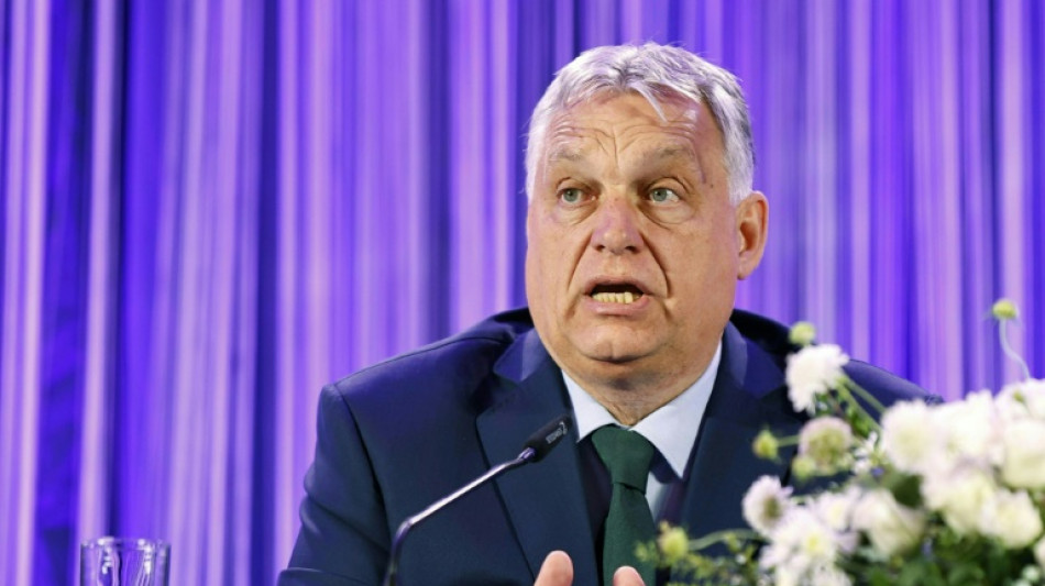 Primer ministro h&uacute;ngaro anuncia que desea formar nuevo grupo parlamentario europeo