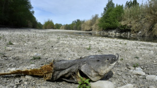 Pyr&eacute;n&eacute;es-Orientales: alerte s&eacute;cheresse maximale, restrictions et sanctions