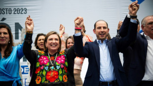 X&oacute;chitl G&aacute;lvez ser&aacute; candidata &uacute;nica da oposi&ccedil;&atilde;o nas presidenciais no M&eacute;xico