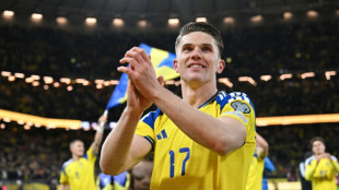 Suecia, Turqu&iacute;a, Rep&uacute;blica Checa y Bosnia al Mundial, Italia se hunde