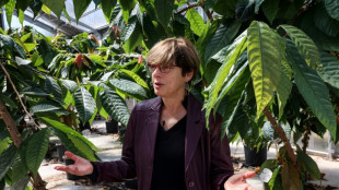 En Isra&euml;l, le financement de la guerre ampute la recherche