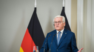 Steinmeier versichert Ukraine deutsche Unterst&uuml;tzung solange wie n&ouml;tig