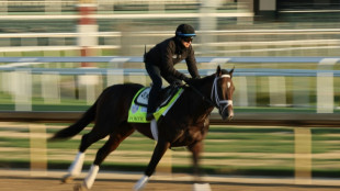 Forte spearheads Pletcher's challenge for third Kentucky Derby crown