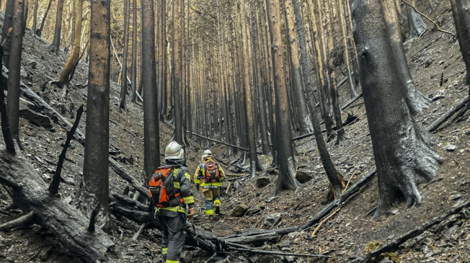 Feux de for&ecirc;t au Japon: la pluie freine la propagation de l'incendie 