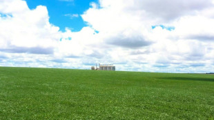 Comiss&atilde;o parlamentar da UE expressa 'frustra&ccedil;&atilde;o' por falta de acordo UE-Mercosul