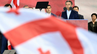 Bidzina Ivanichvili, dirigeant g&eacute;orgien de l'ombre accus&eacute; de faire le jeu de Moscou