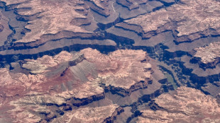 Evac&uacute;an parte del Gran Ca&ntilde;&oacute;n por propagaci&oacute;n de incendio forestal