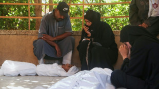 M&aacute;s de 100 ONGs advierten de "hambruna masiva" en Gaza