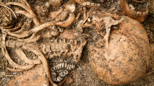 L'ADN &eacute;claire le pass&eacute; d'un site fun&eacute;raire du N&eacute;olithique