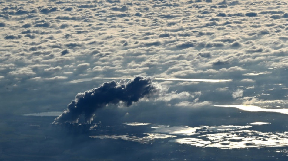 El corte de emisiones en Alemania se desaceler&oacute; en 2024, seg&uacute;n un estudio