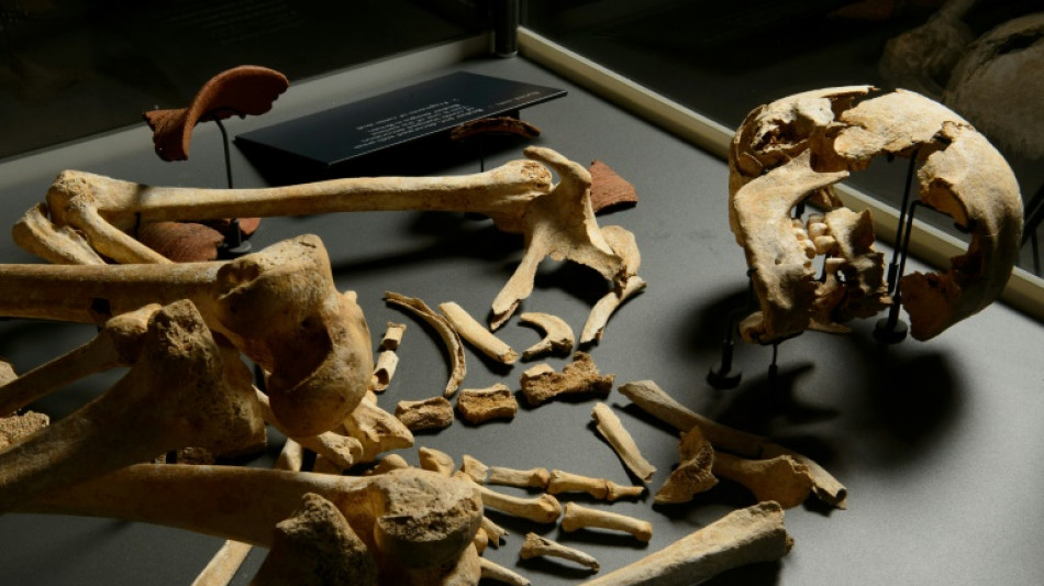 Mudan&ccedil;a social explicaria redu&ccedil;&atilde;o da popula&ccedil;&atilde;o masculina durante o Neol&iacute;tico