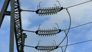 Orages: plus que 5.500 foyers priv&eacute;s d'&eacute;lectricit&eacute; dans le Sud-Ouest