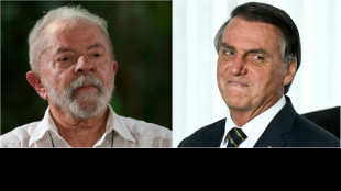 Br&eacute;sil : dans le duel Lula-Bolsonaro, les noms d'oiseaux fusent