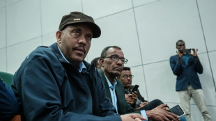 Cessation des hostilit&eacute;s au Tigr&eacute;: "ce qui nous attend" est bien "plus cons&eacute;quent que le chemin parcouru", selon la r&eacute;bellion