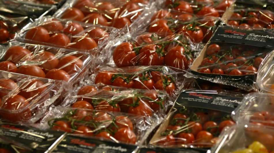 Tomaten sind Deutschlands meistverbrauchtes Gem&uuml;se 