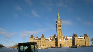 Una nevada "hist&oacute;rica" cubre la costa atl&aacute;ntica de Canad&aacute;