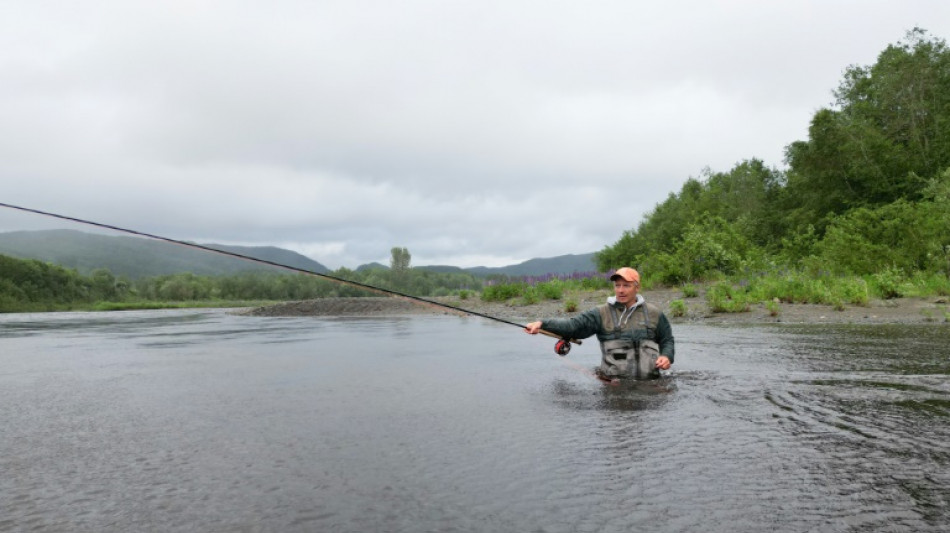 En Norv&egrave;ge, la lente agonie du saumon sauvage face &agrave; l'aquaculture