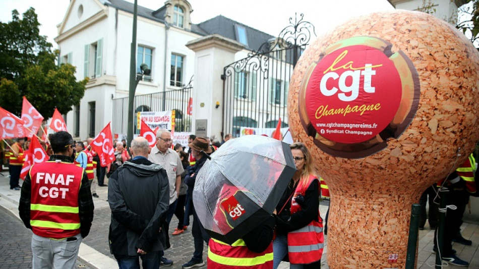 Vendanges en Champagne: une centaine de manifestants r&eacute;clament une table ronde
