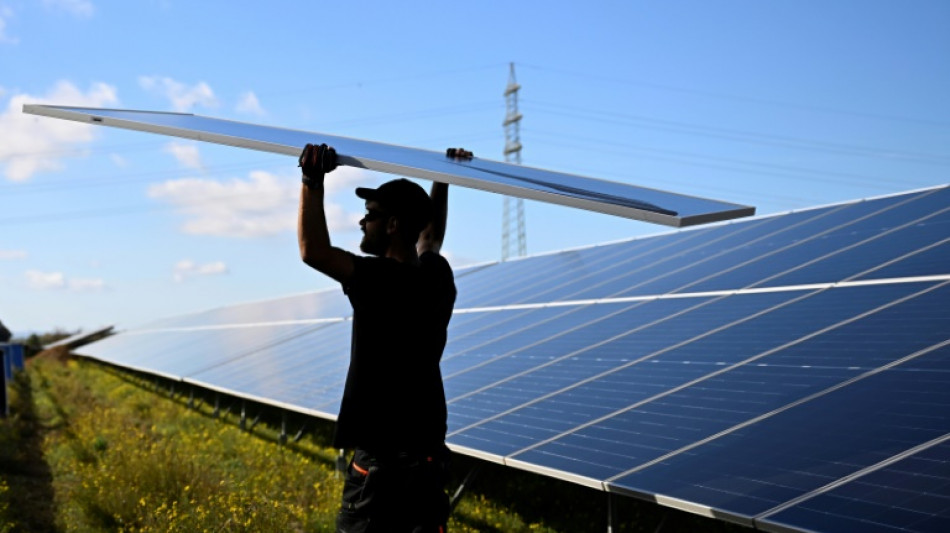Clean energy investment rising despite economic uncertainty: IEA