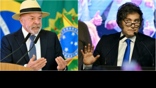 Brasil e Argentina enfrentam crise diplom&aacute;tica ap&oacute;s 'ofensas' de Milei