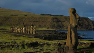 Un estudio descarta que la sobrepoblaci&oacute;n haya causado un "ecocidio" en la Isla de Pascua