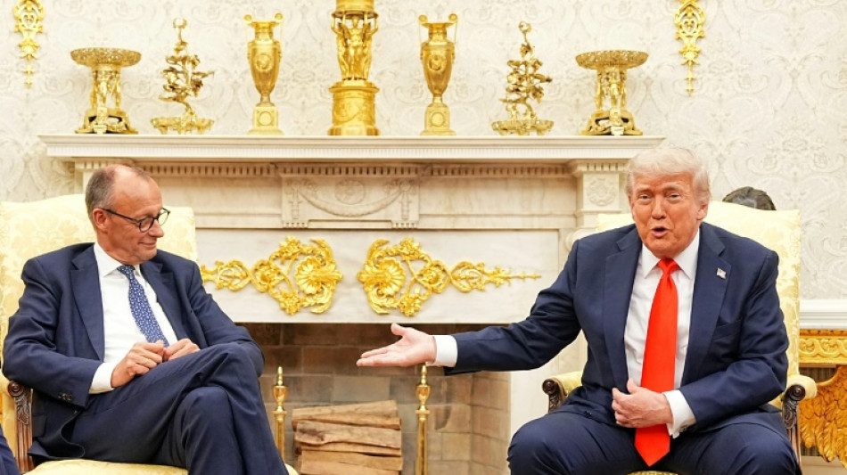 Merz l&auml;dt vor Putin-Trump-Gipfel zu virtuellem Ukraine-Treffen